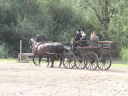 IMG_1202_web